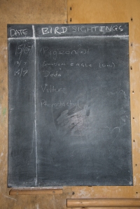 Blackboard with bird sightings recorded for 15th July 2014