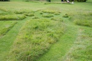 Grass sculpture